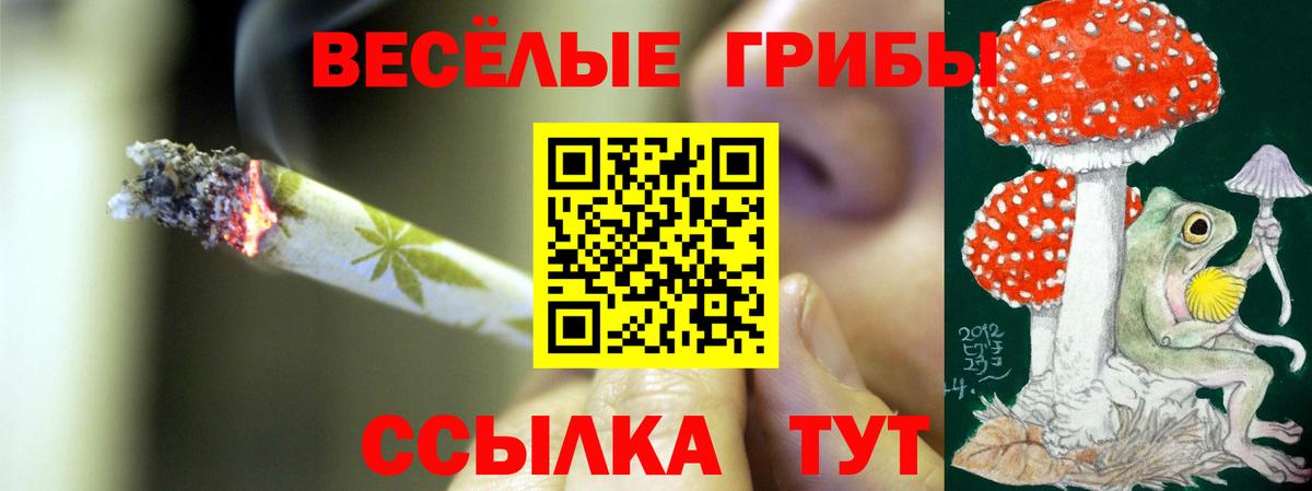 Псилоцибиновые грибы прущие грибы Светлоград